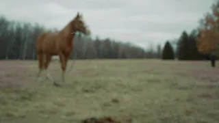 ХБ, 8 серия