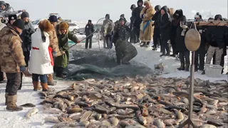 Мир наизнанку, 6 серия
